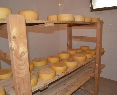 Agriturismo E Antica Fattoria Matteu *