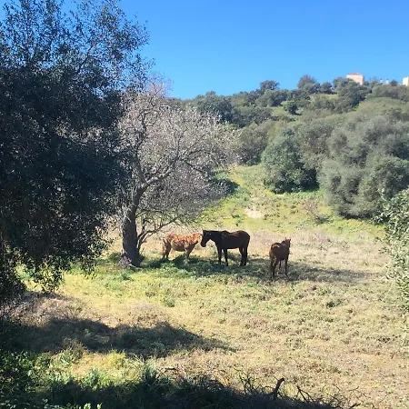Agriturismo E Antica Fattoria Matteu Bed & Breakfast *